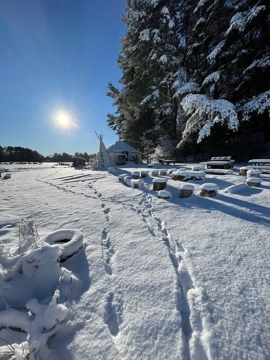 Children at Sprouts Farm and Forest Learning
