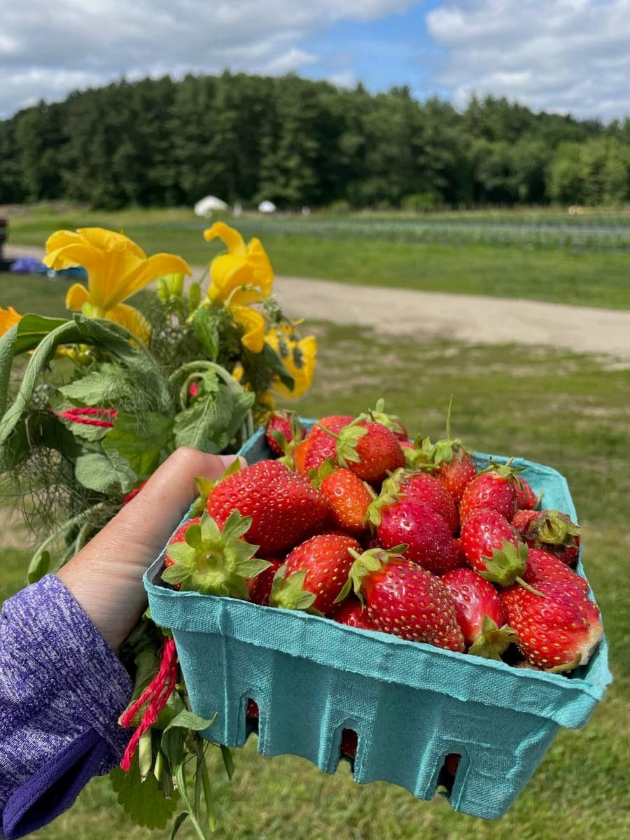 Children at Sprouts Farm and Forest Learning