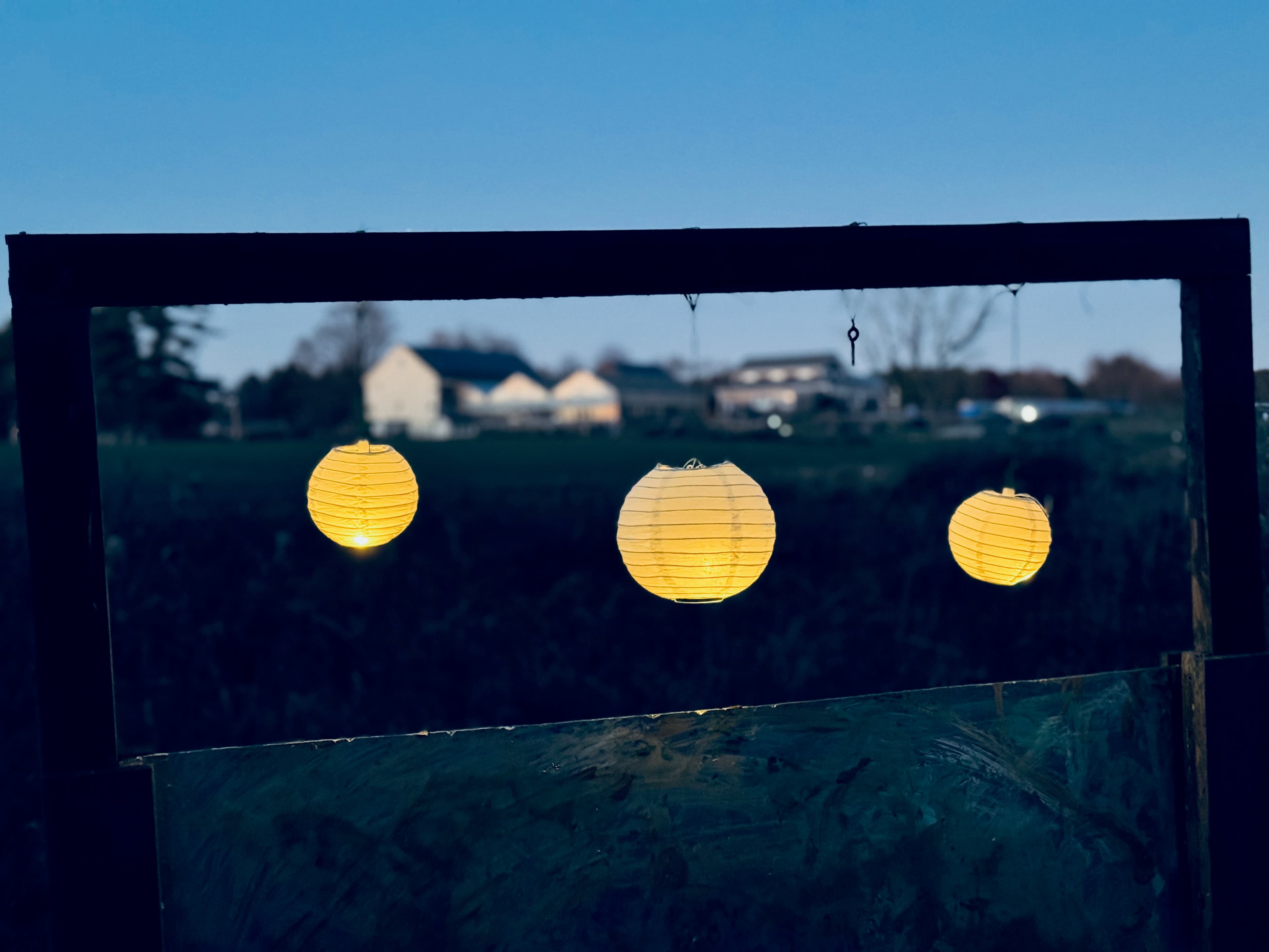 Children moving through forest environment