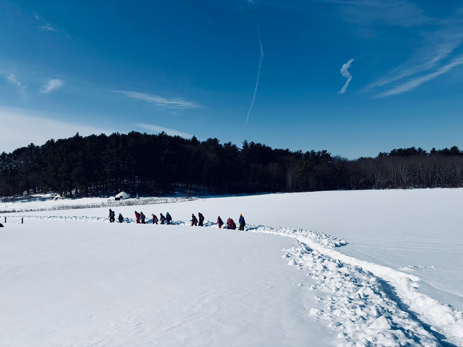 Children at Sprouts Farm and Forest Learning