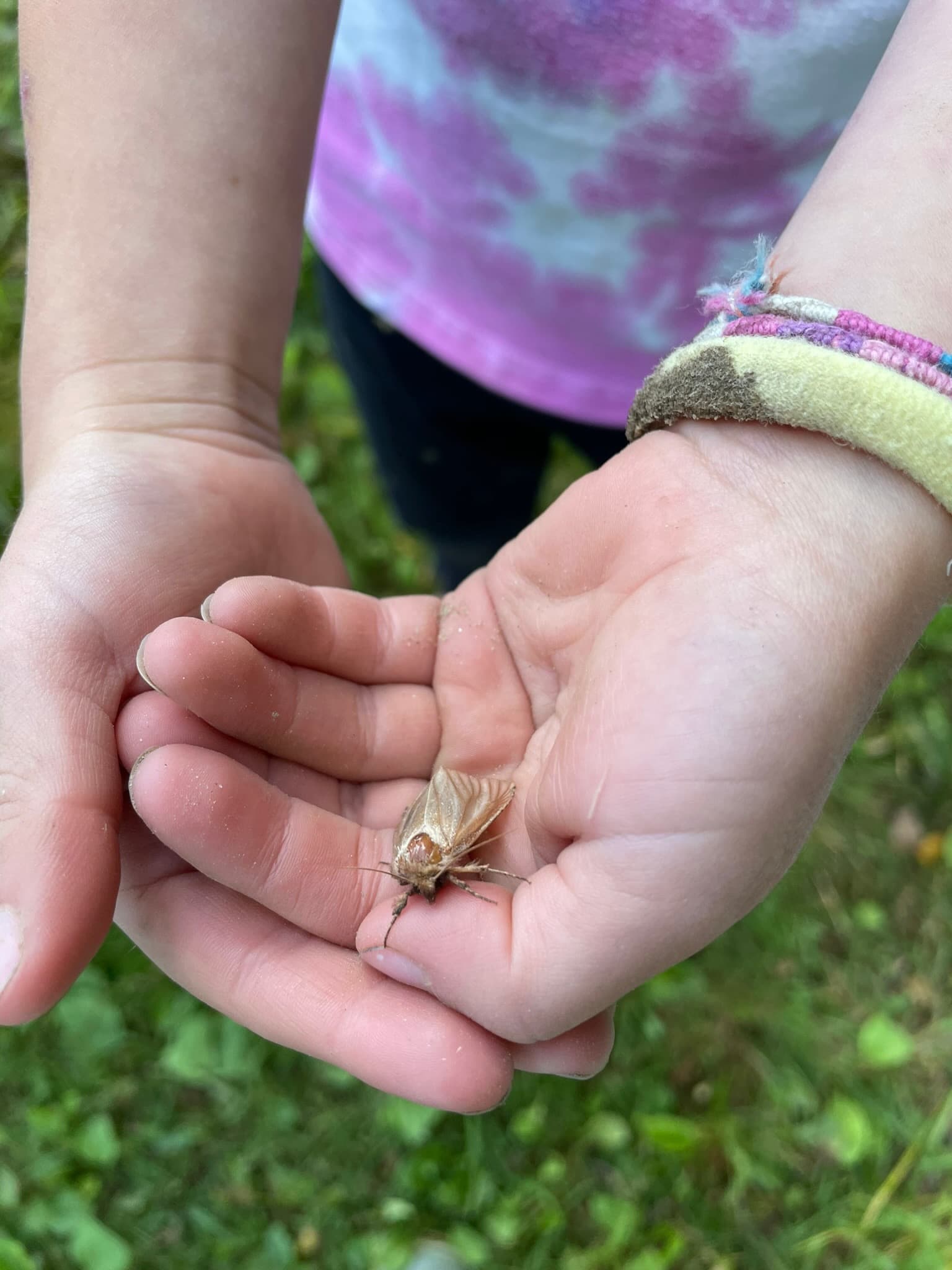 Children at Sprouts Farm and Forest Learning