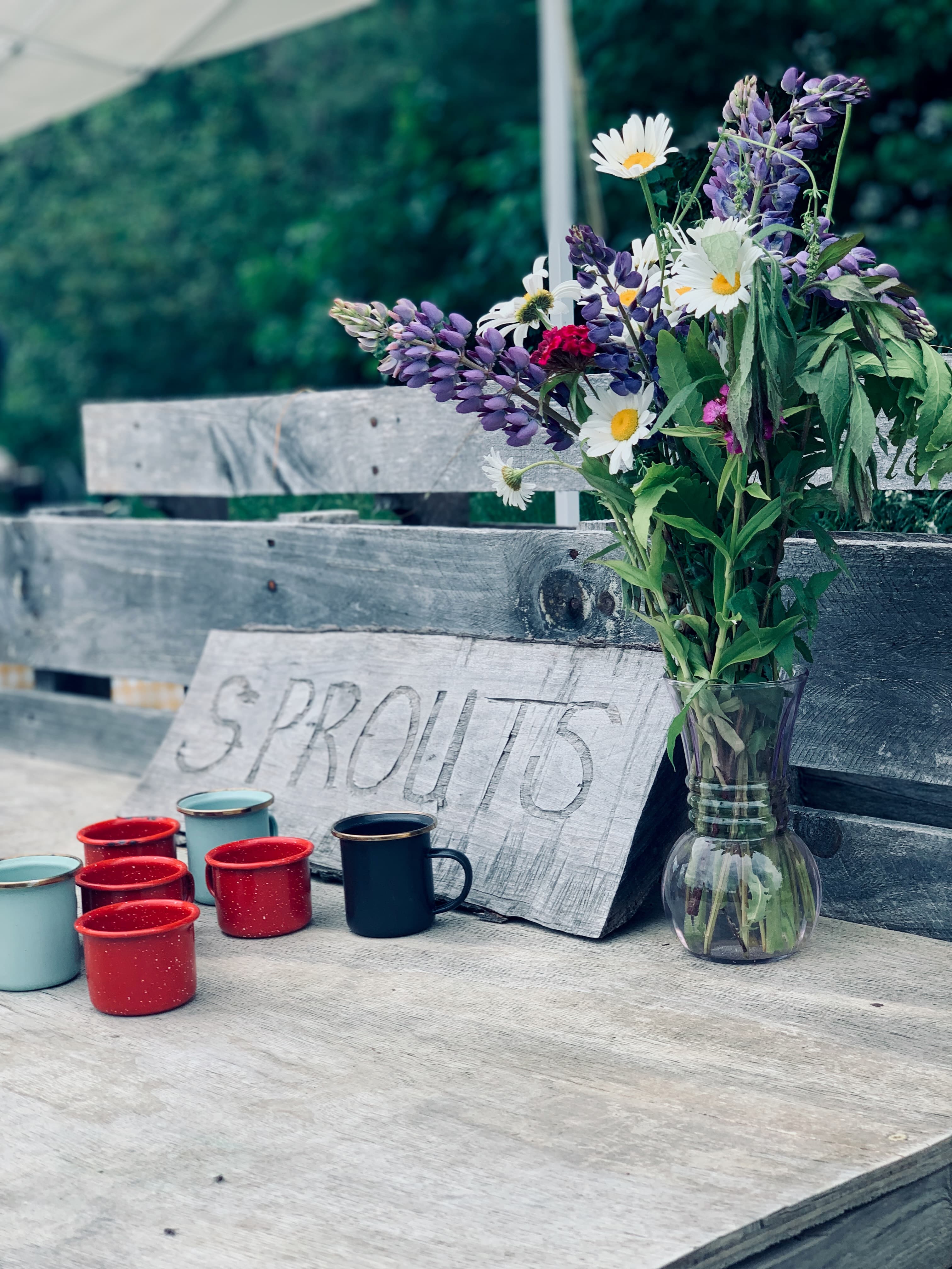 Hands-on play in nature