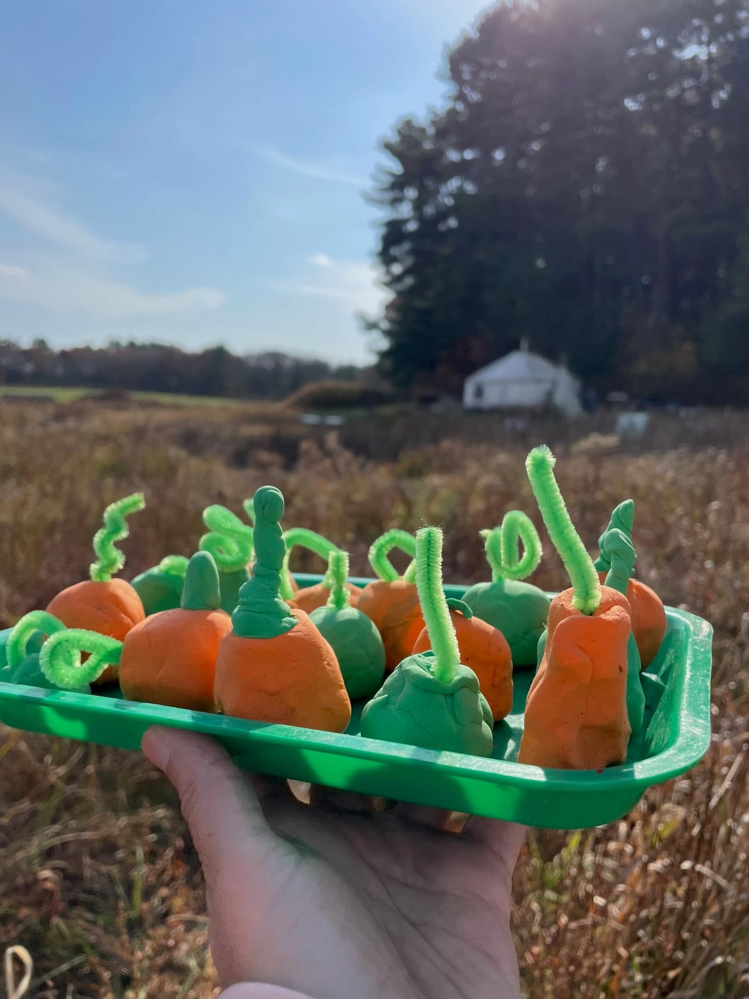 Children at Sprouts Farm and Forest Learning