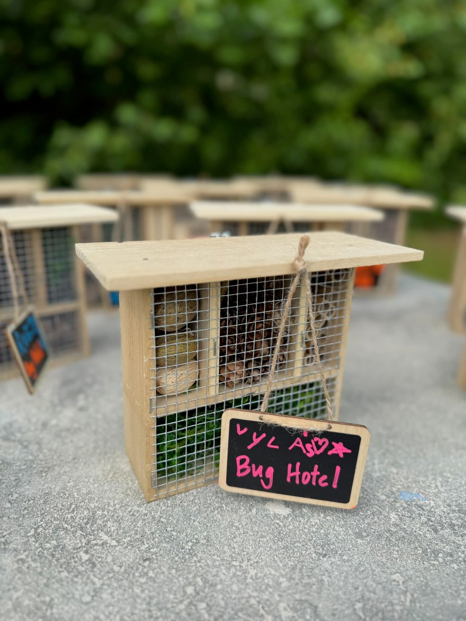 Children at Sprouts Farm and Forest Learning