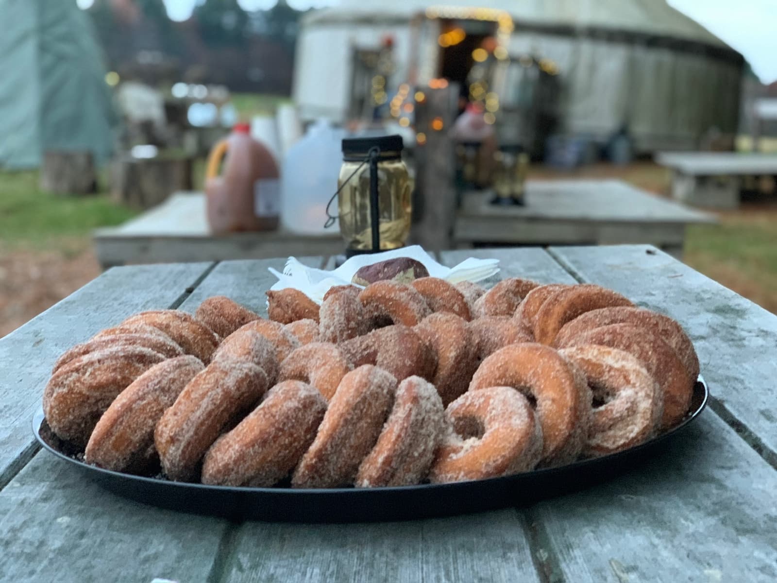 Children at Sprouts Farm and Forest Learning