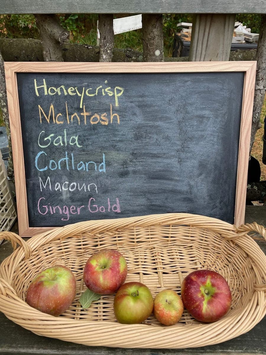 Children at Sprouts Farm and Forest Learning