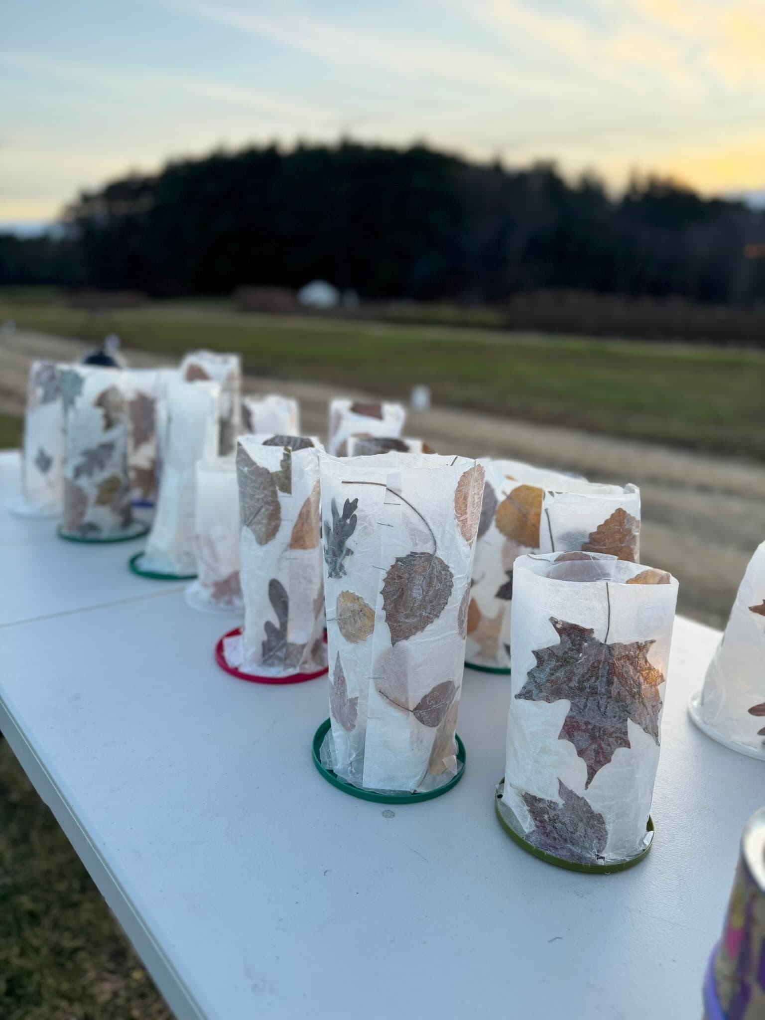 Children at Sprouts Farm and Forest Learning