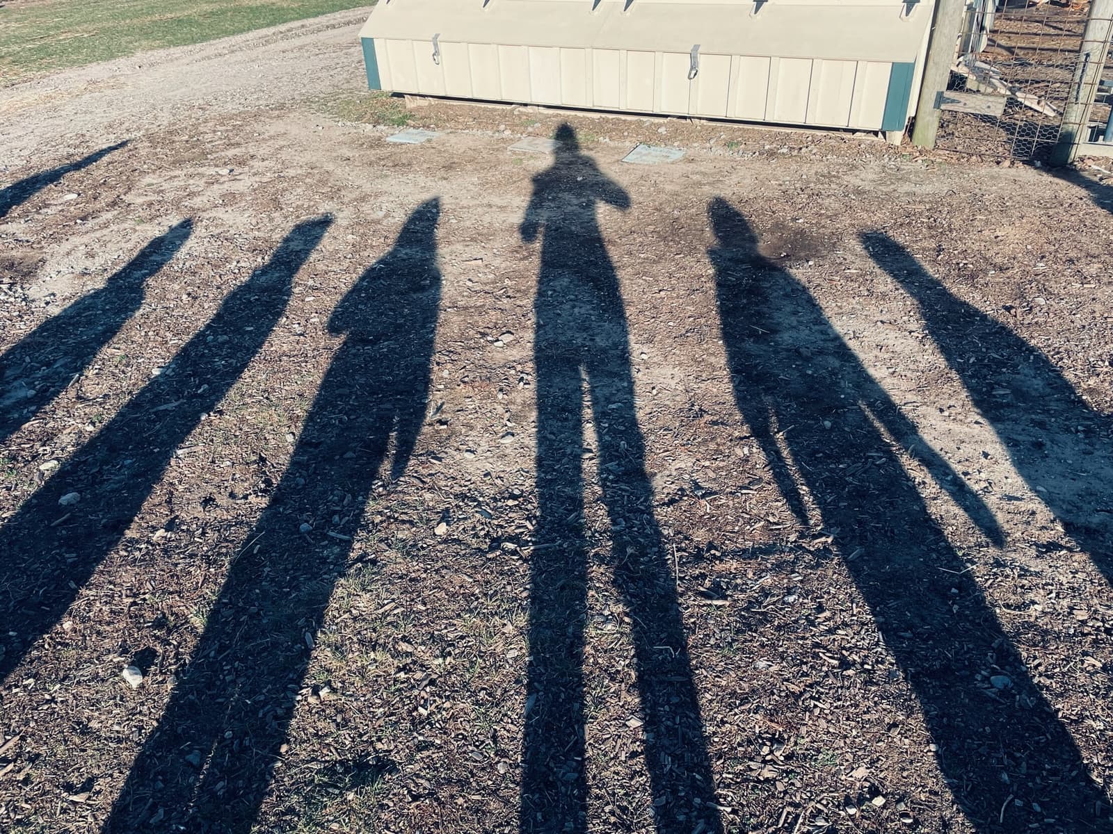 Children at Sprouts Farm and Forest Learning
