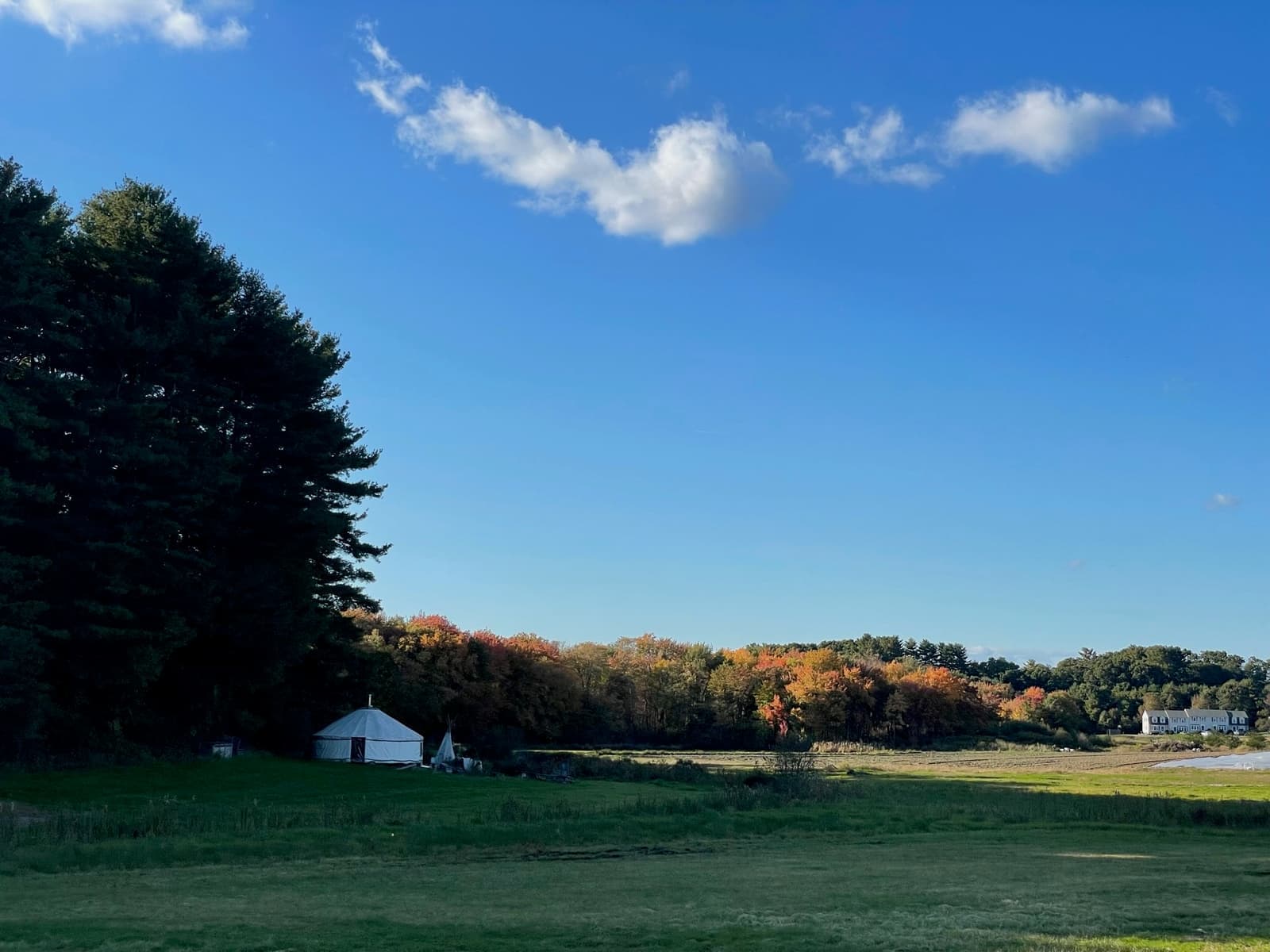 Children at Sprouts Farm and Forest Learning
