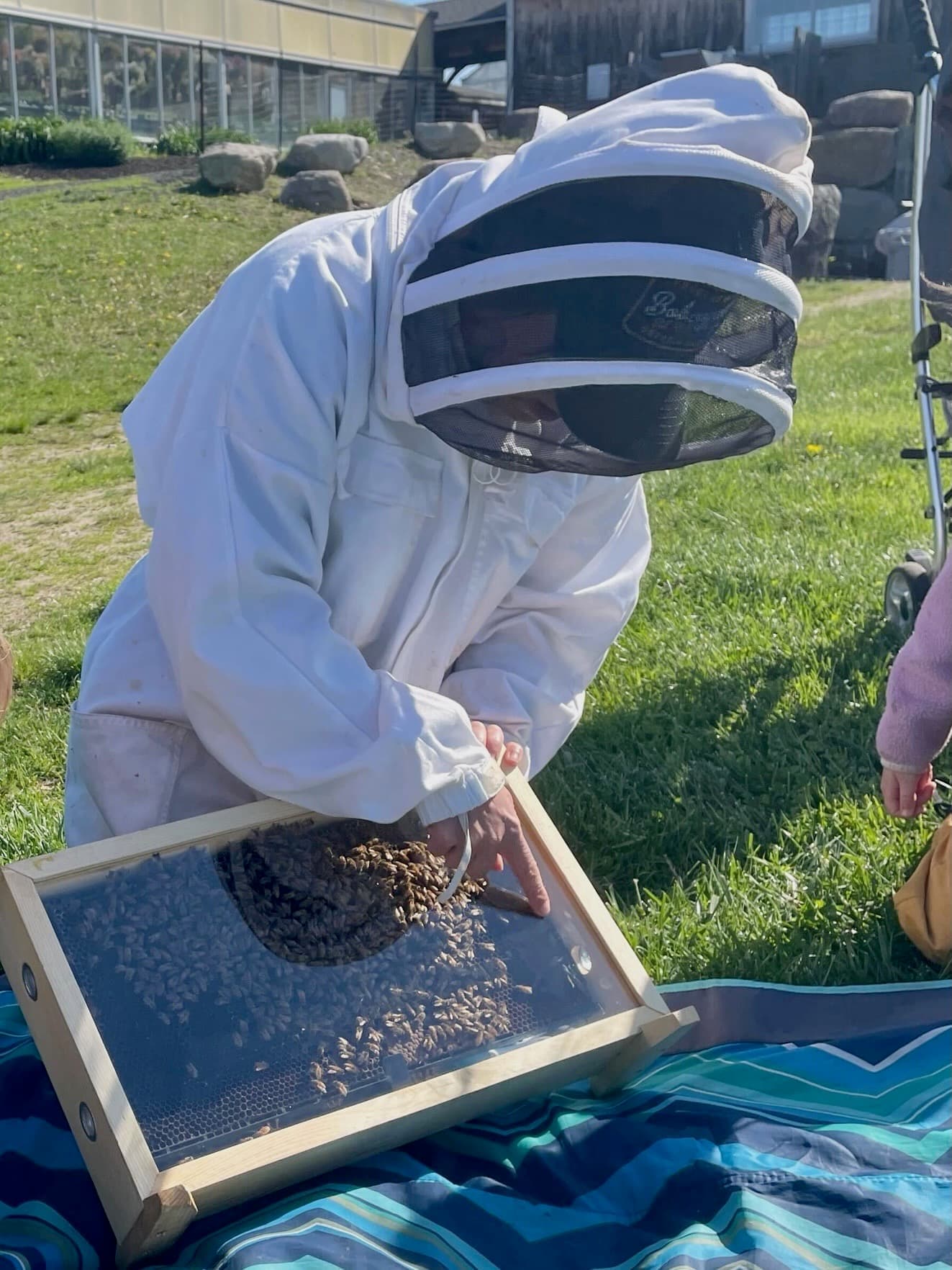 Children at Sprouts Farm and Forest Learning