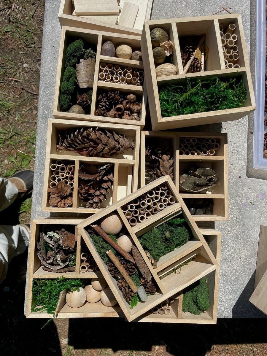 Children at Sprouts Farm and Forest Learning