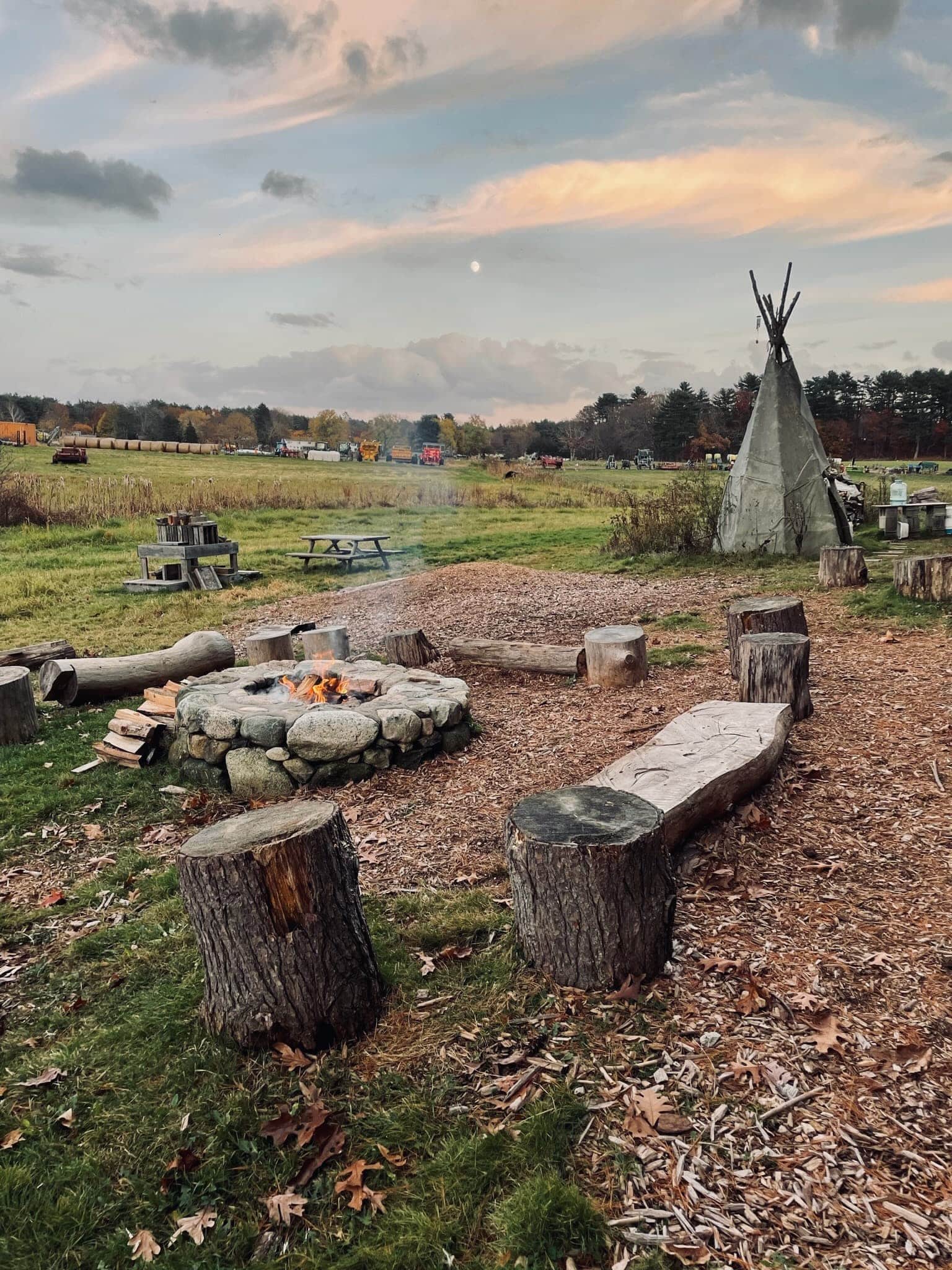 Children exploring the farm at Sprouts