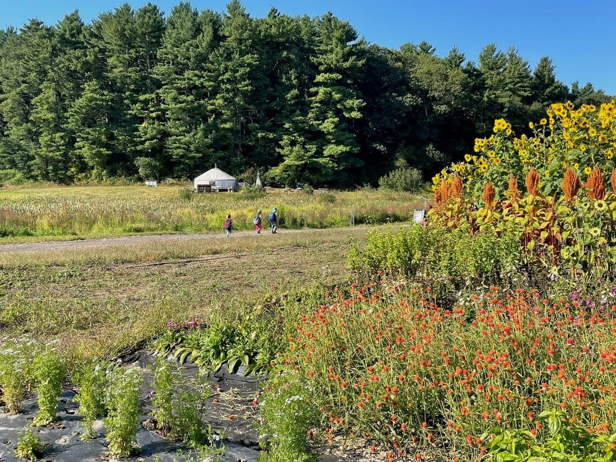 Children at Sprouts Farm and Forest Learning