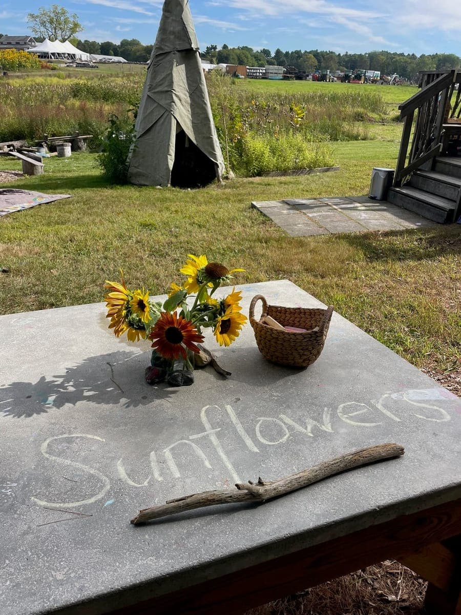 Children at Sprouts Farm and Forest Learning
