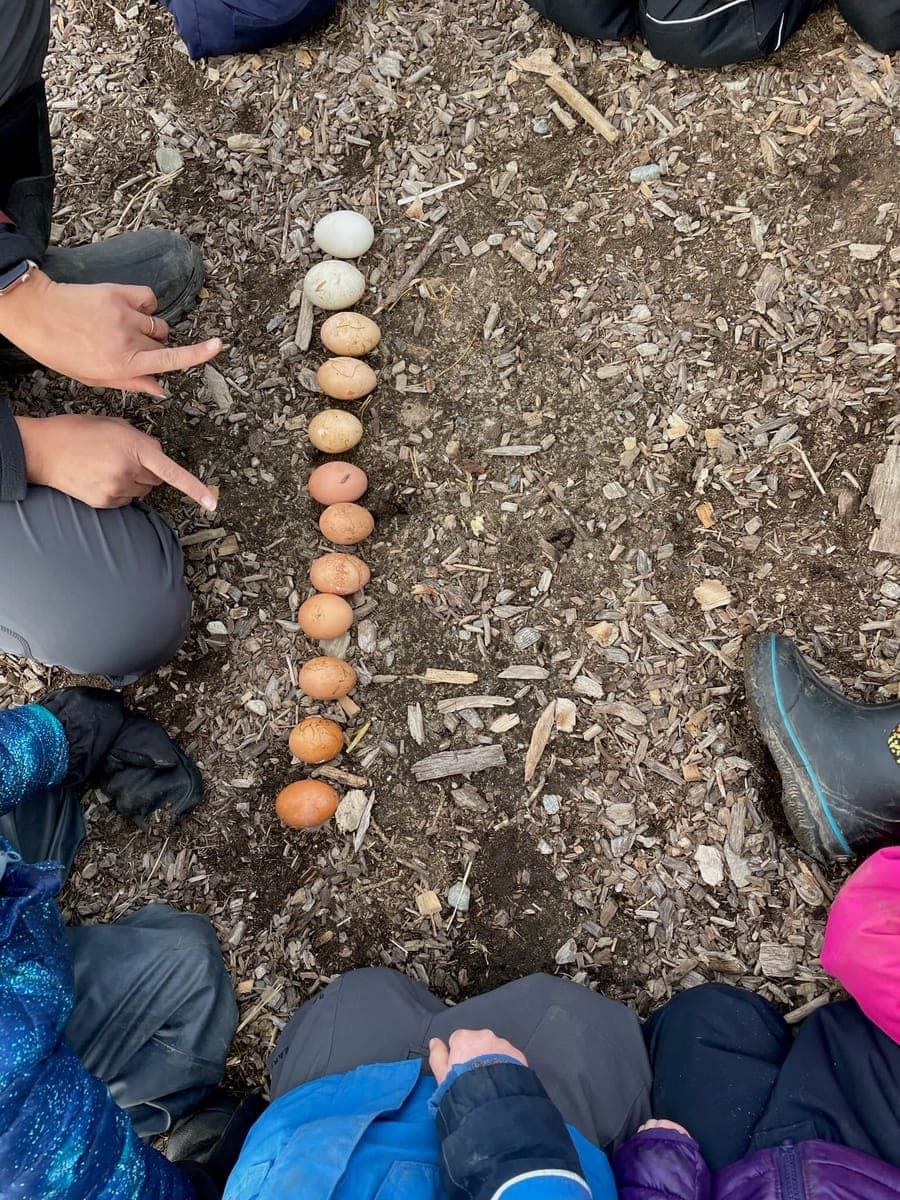 Children at Sprouts Farm and Forest Learning