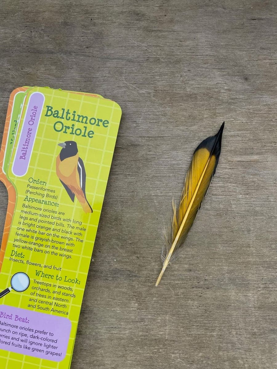 Children at Sprouts Farm and Forest Learning