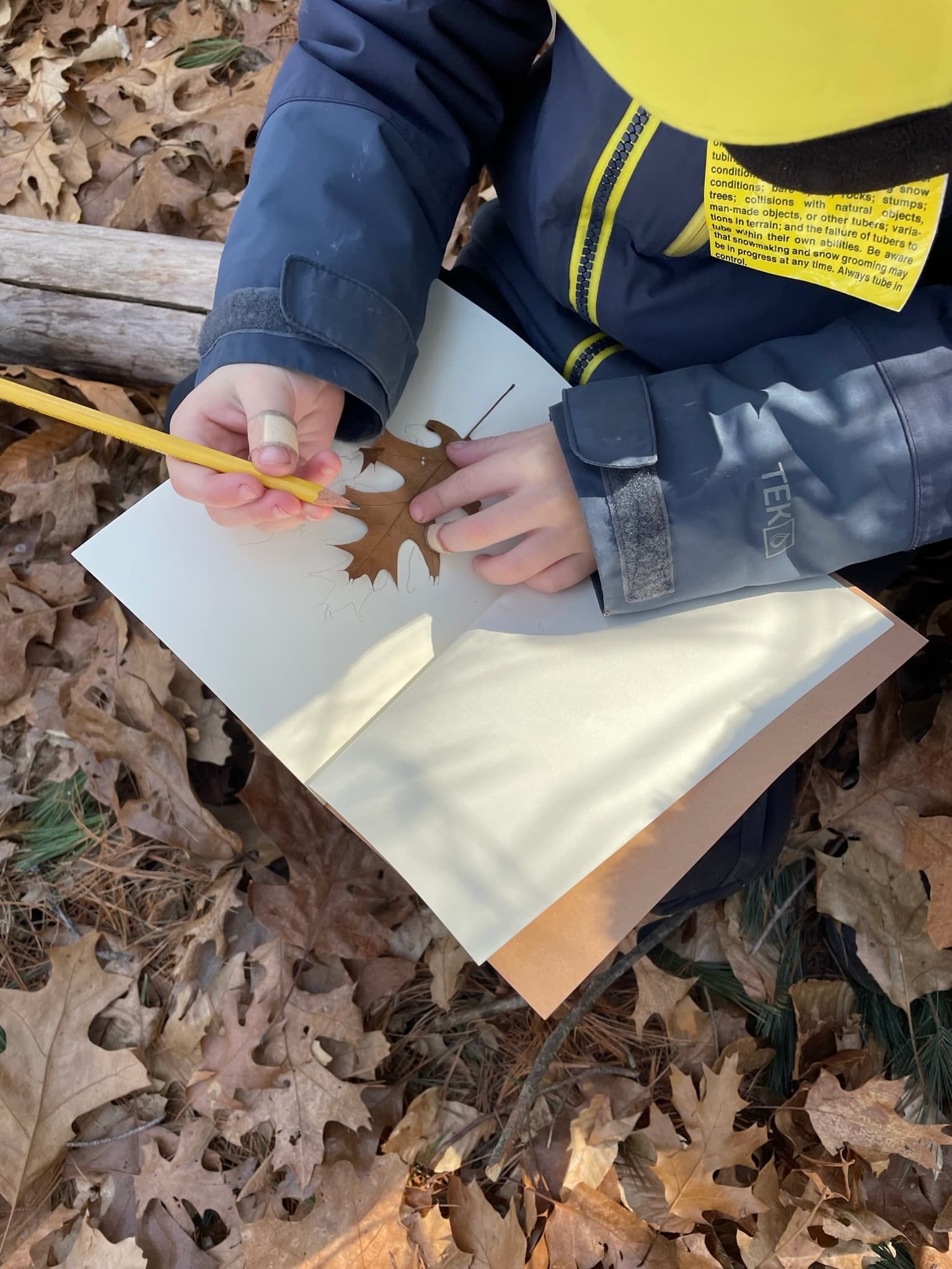 Children at Sprouts Farm and Forest Learning