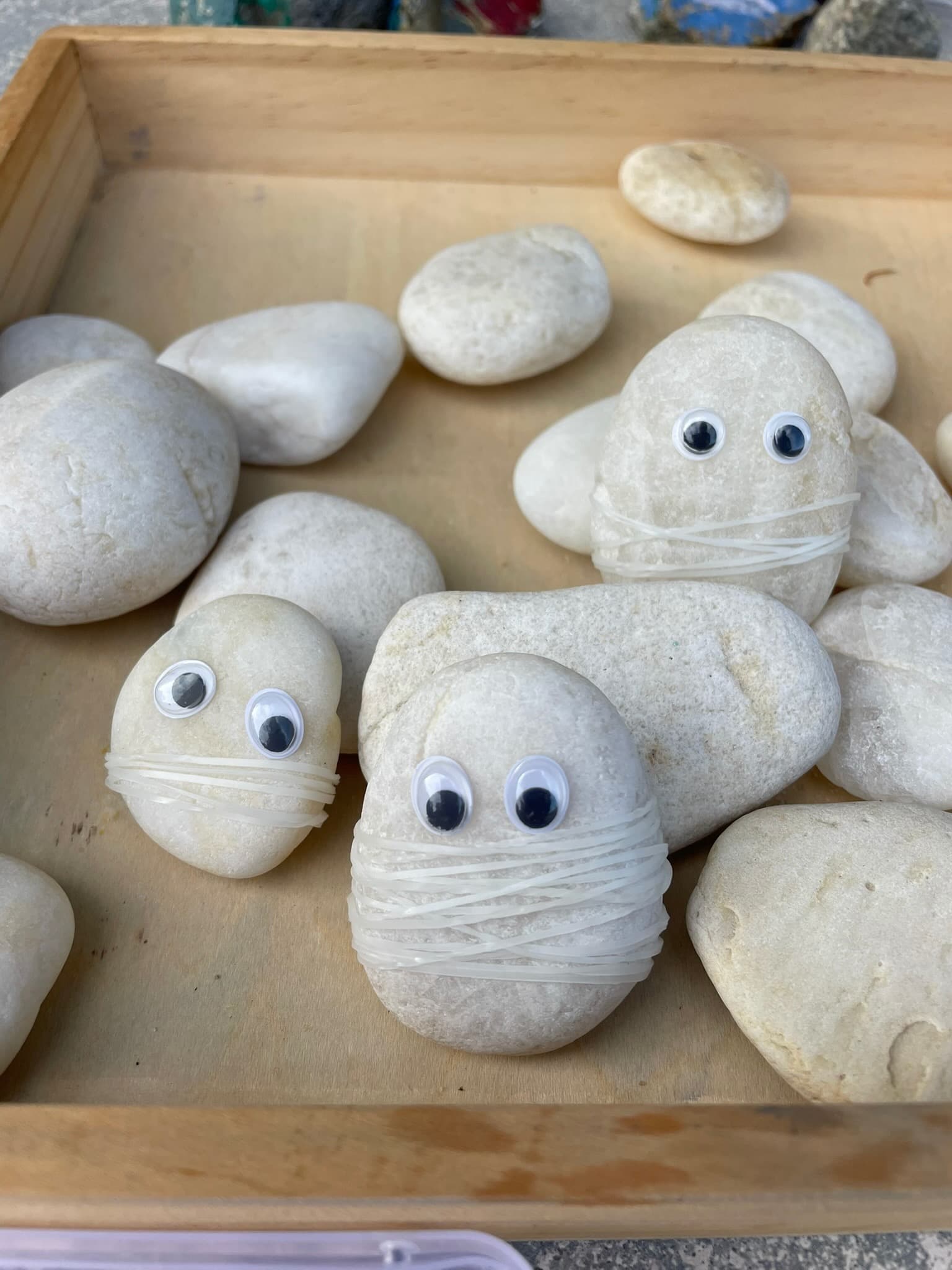 Children at Sprouts Farm and Forest Learning