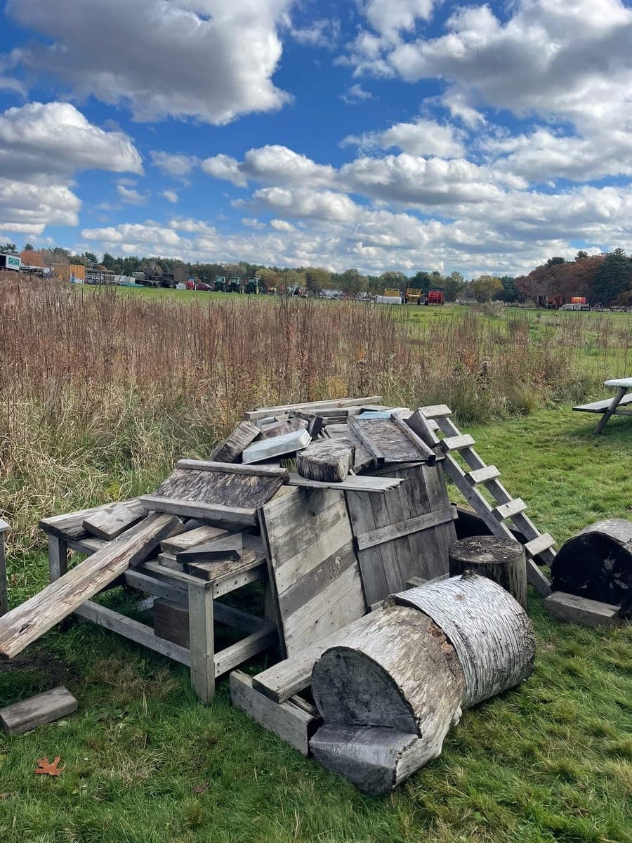 Children at Sprouts Farm and Forest Learning