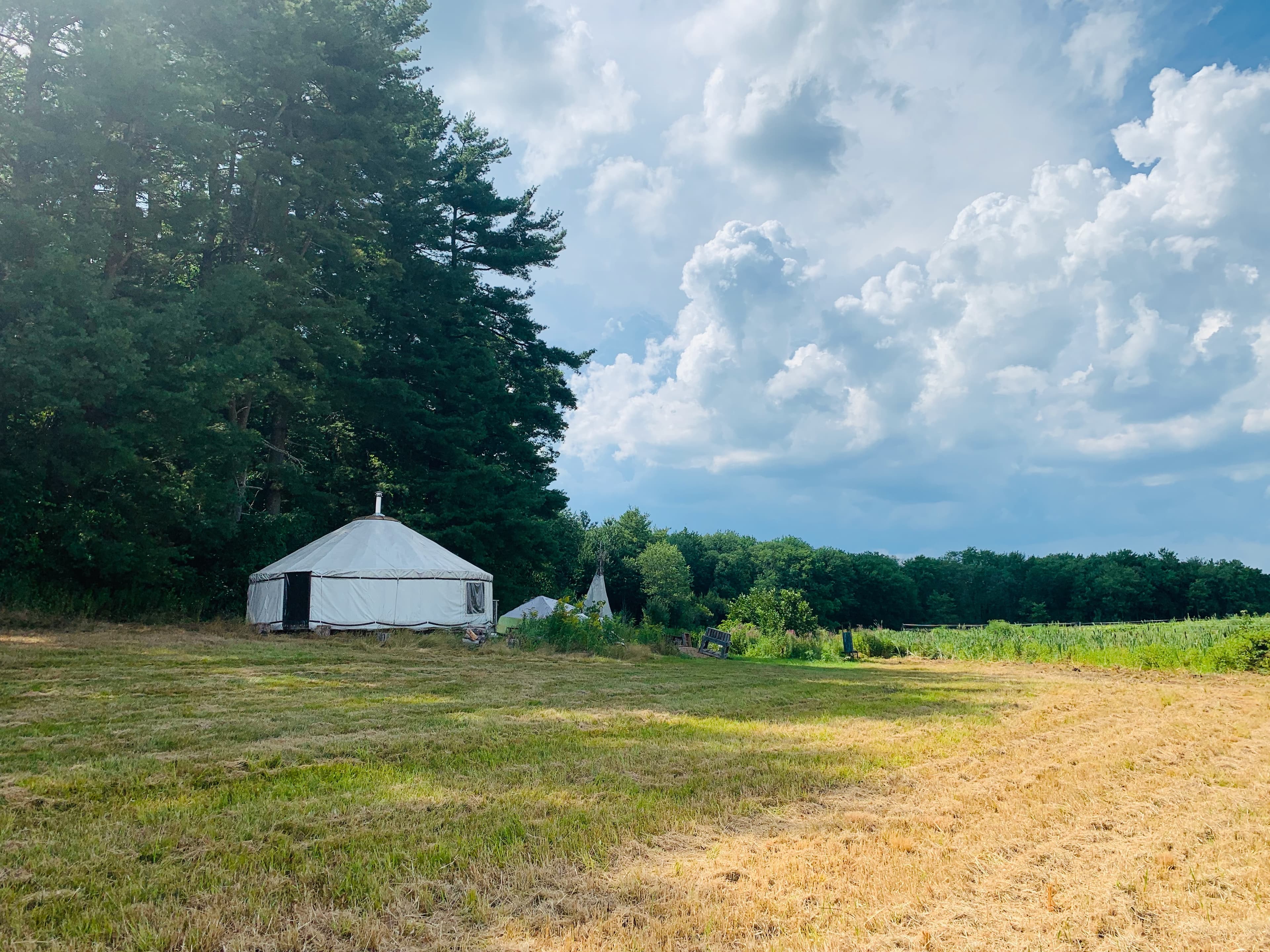 Group activity in natural surroundings