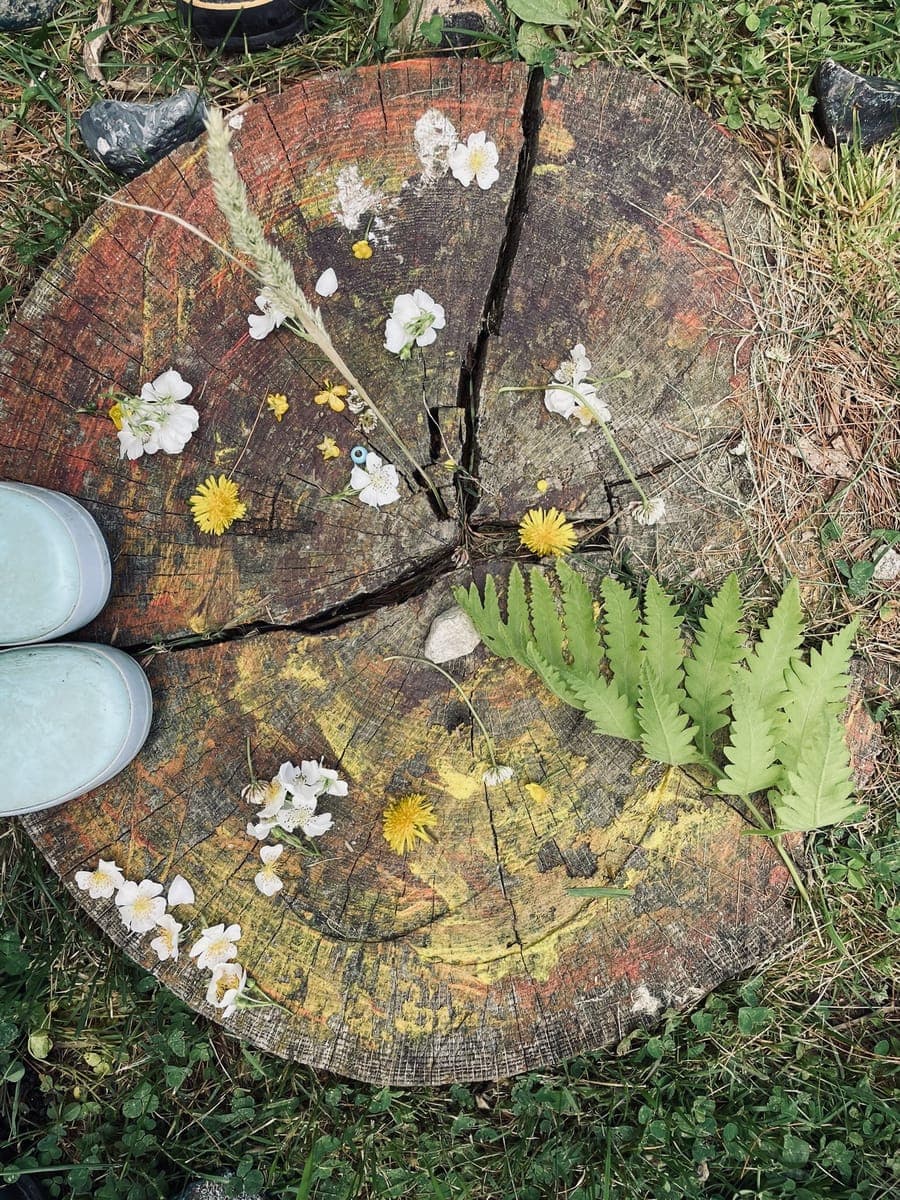 Children at Sprouts Farm and Forest Learning