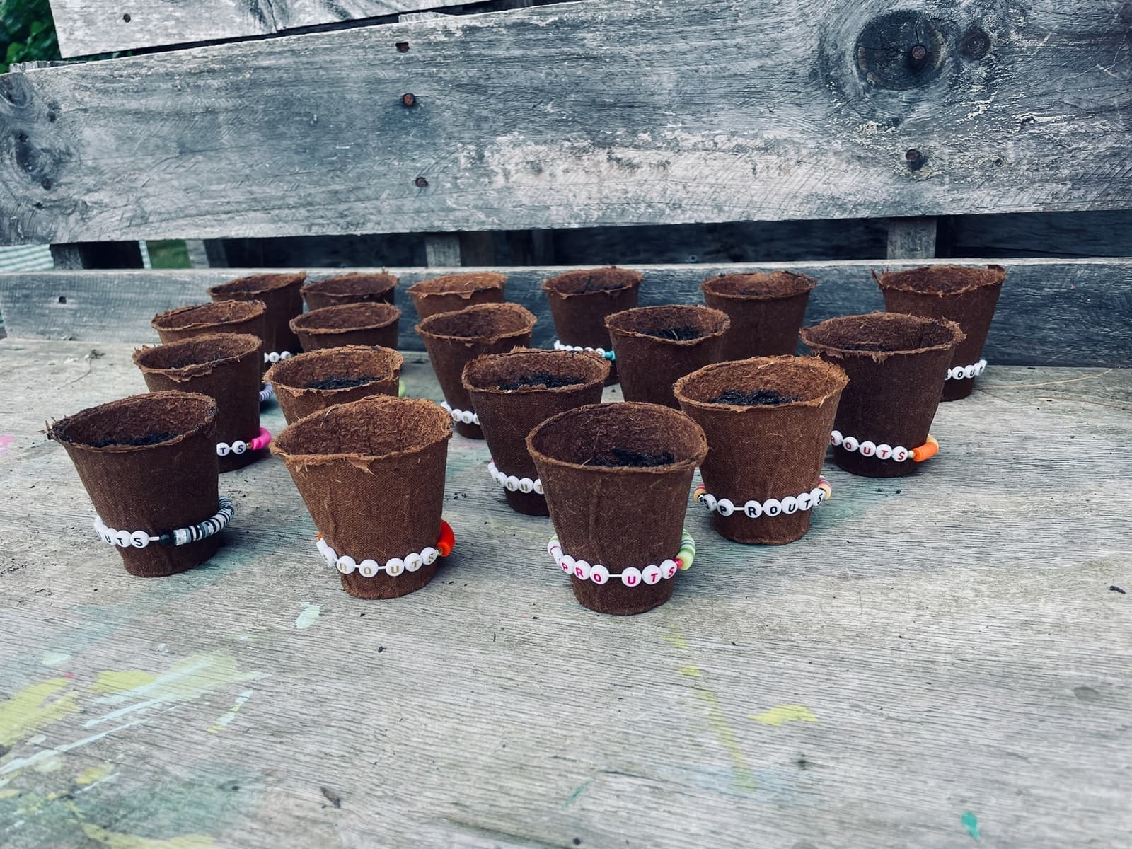 Children at Sprouts Farm and Forest Learning