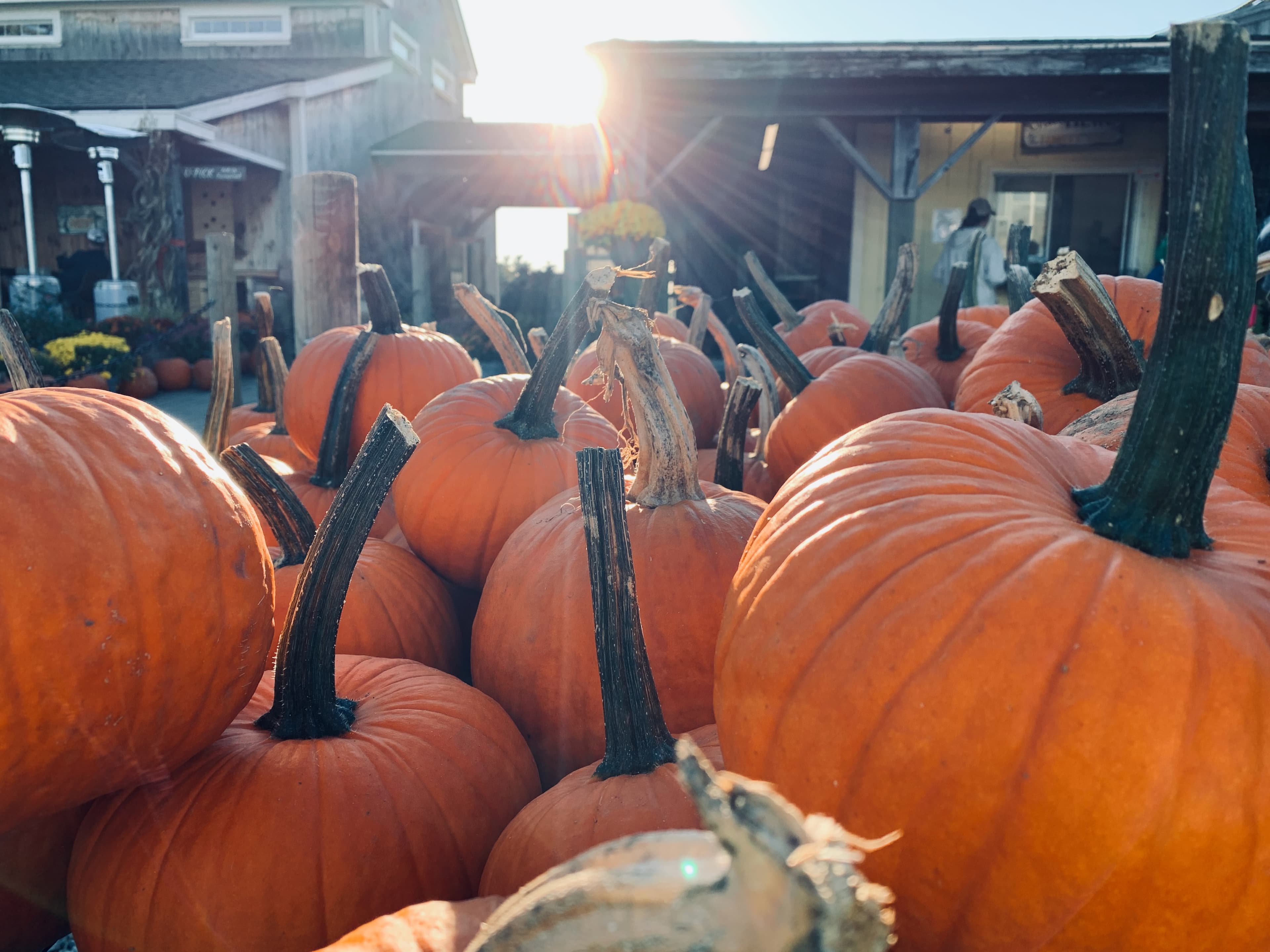 Children and educators in circle time outdoors