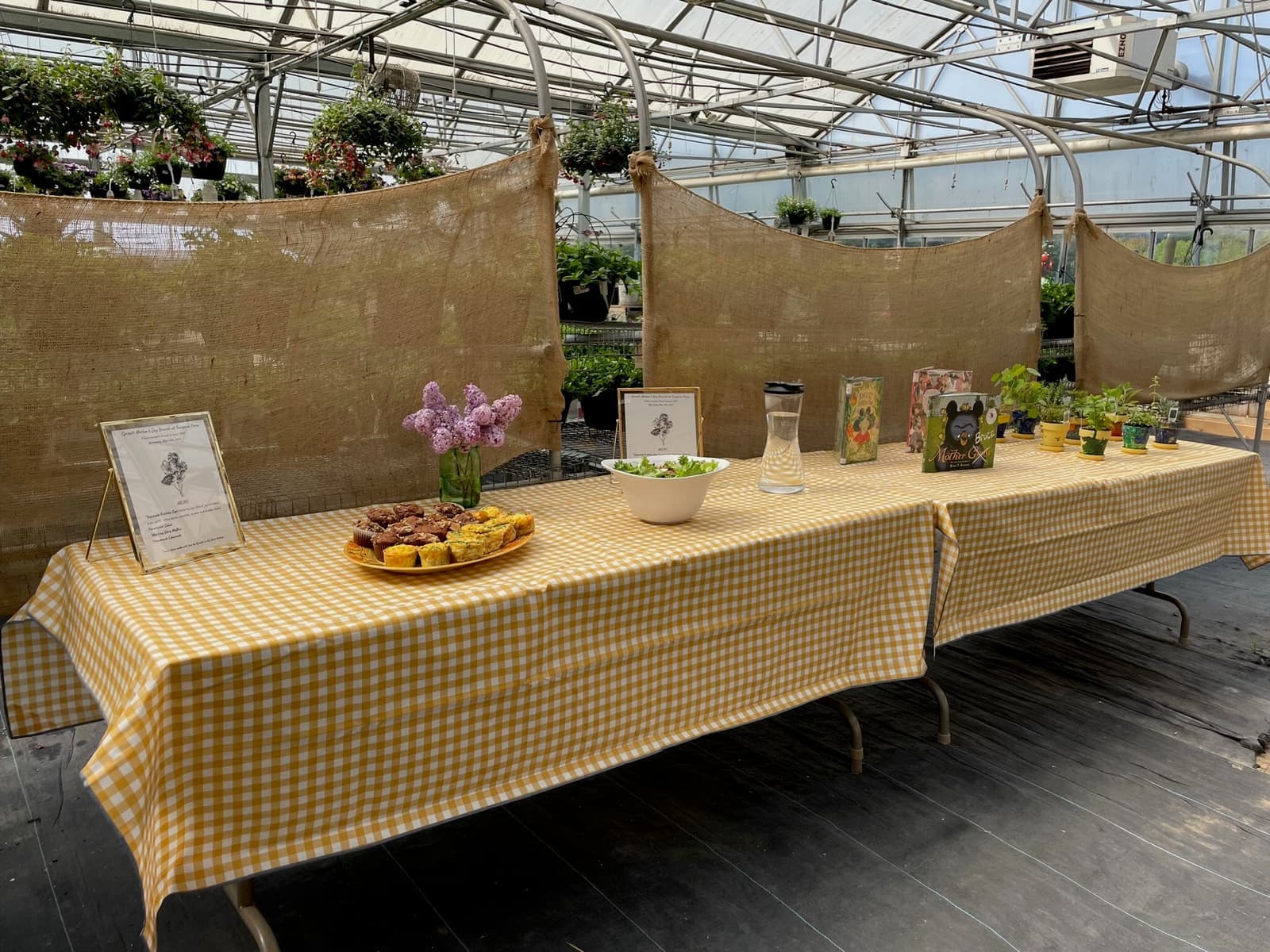 Children at Sprouts Farm and Forest Learning