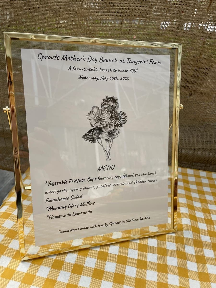 Children at Sprouts Farm and Forest Learning