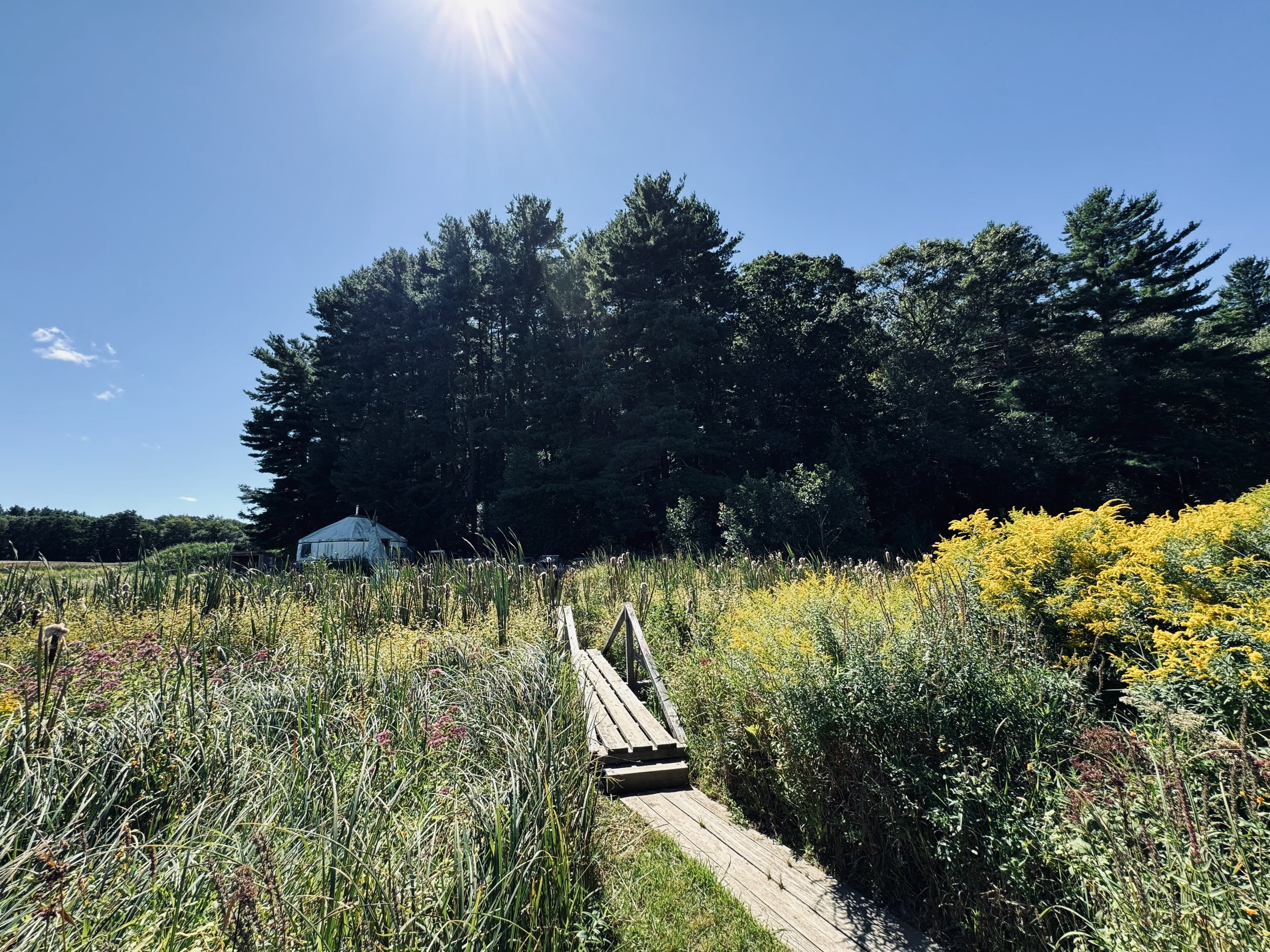 Meadow path leading to learning spaces at the farm